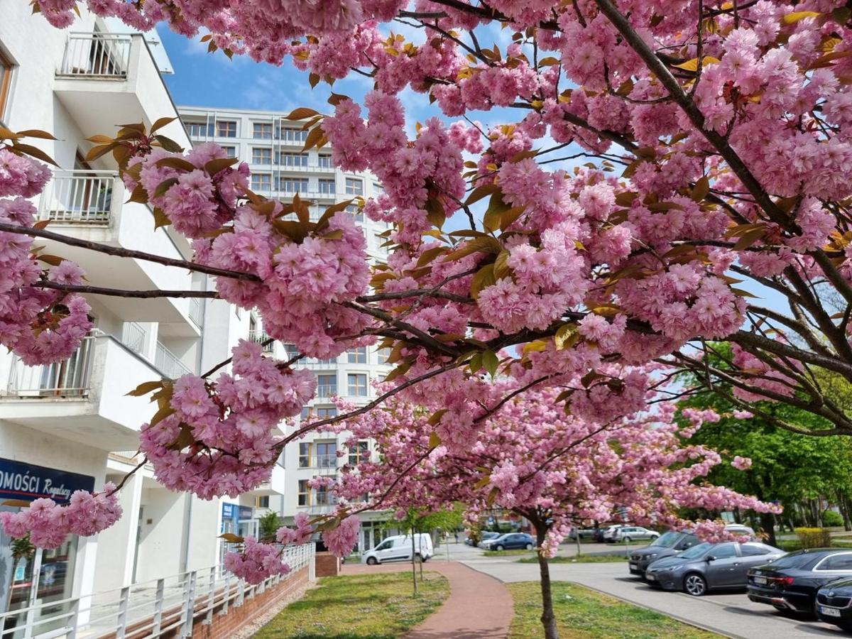 Visit Baltic - Platan Tower Grey Apartment Swinoujscie Exterior photo